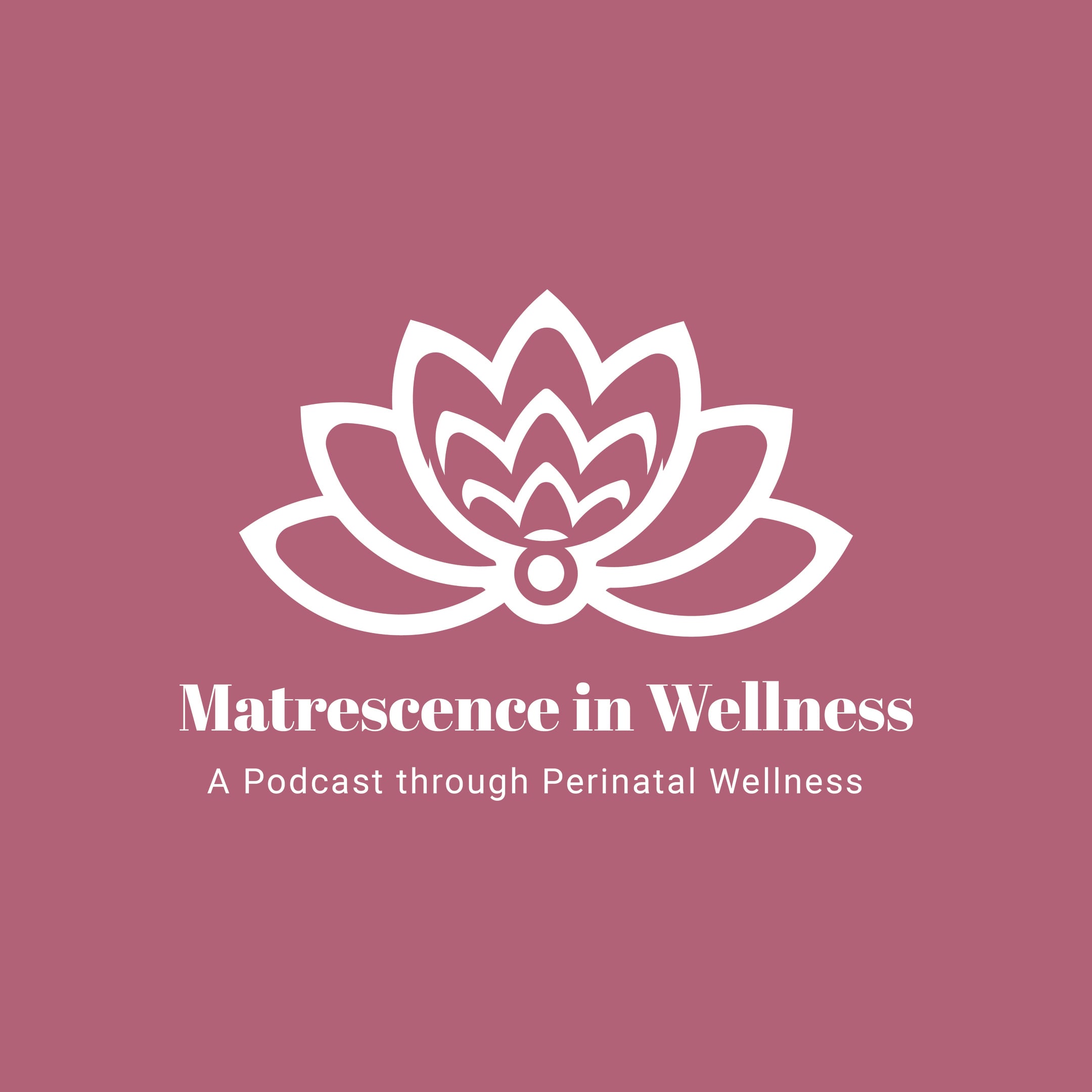 Maternal Health Equity, Matrescence, Nine Pillars of Wellness, Postpartum Health/Challenges, 